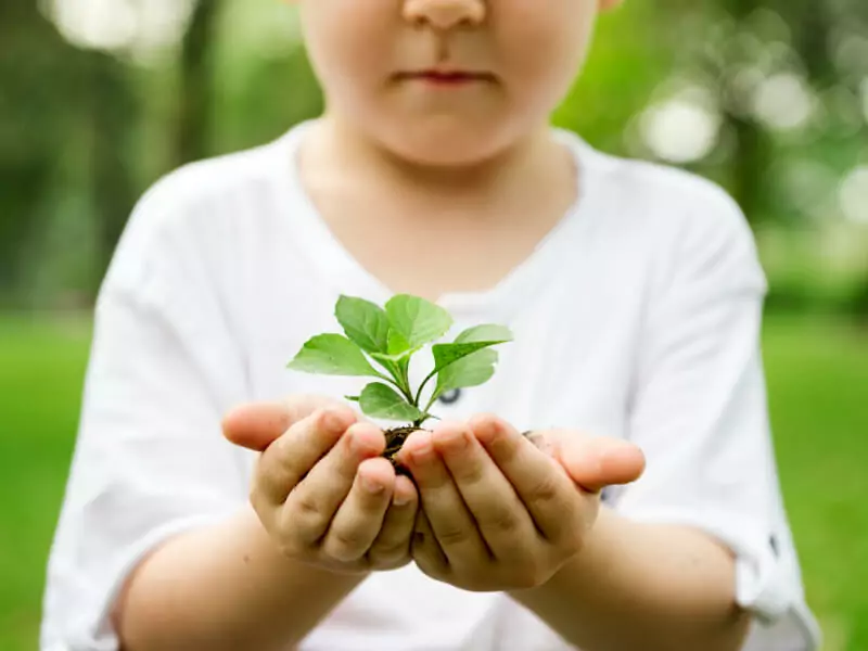 Our sustainability goals 